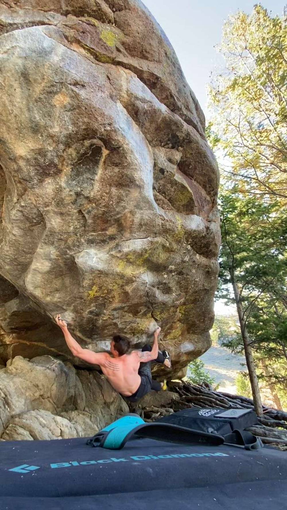 The Unforgiving Tree Low v10, Rock Shop - Beta Video from brennonmtb