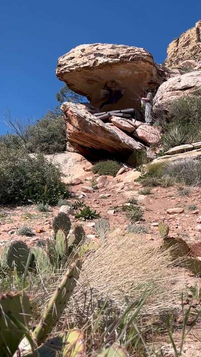 Bonsai v7, Red Rock - Beta Video from burniesenders