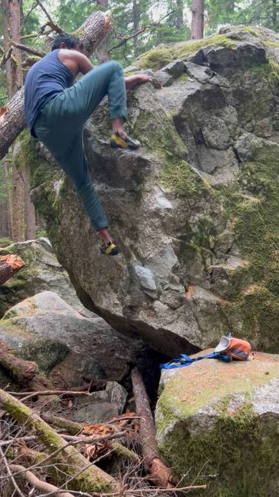 Carpenter Ants v1, Squamish - Beta Video from Kushwant
