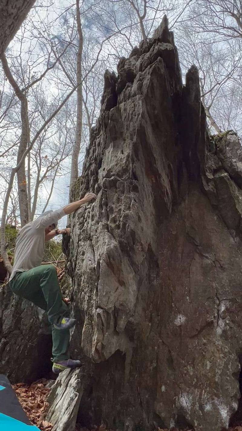 Psychedelic v1, Gunpowder Falls - Beta Video from newnivek