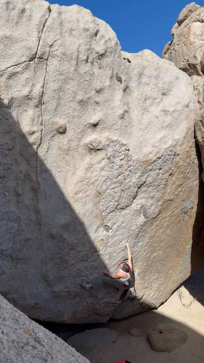 The Secrets Of The Beehive v7, Bishop - Beta Video from rileyogier