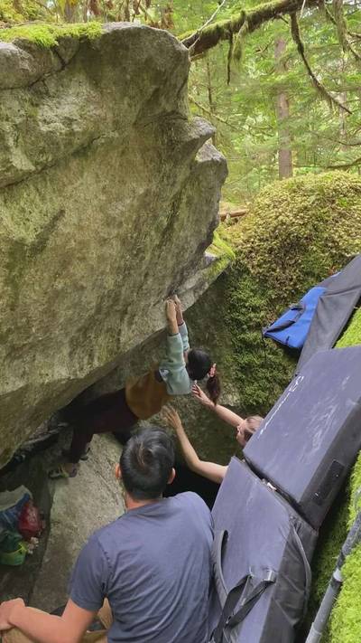 Jungle Book v3, Squamish - Beta Video from WildDirtyPaws