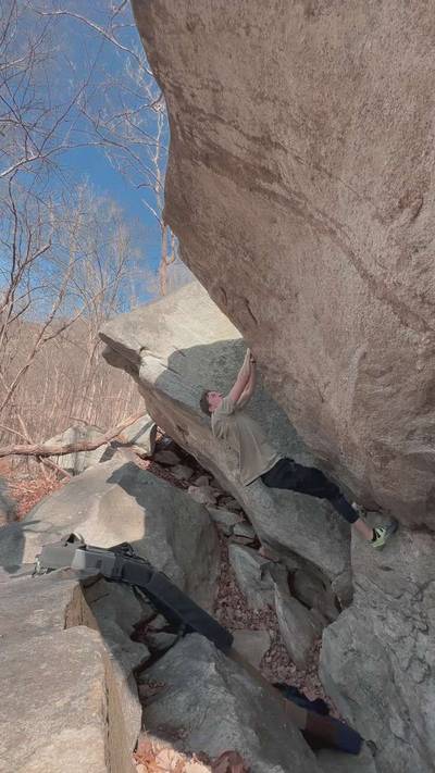 Mandibles v7, Rumbling Bald - Beta Video from Madson