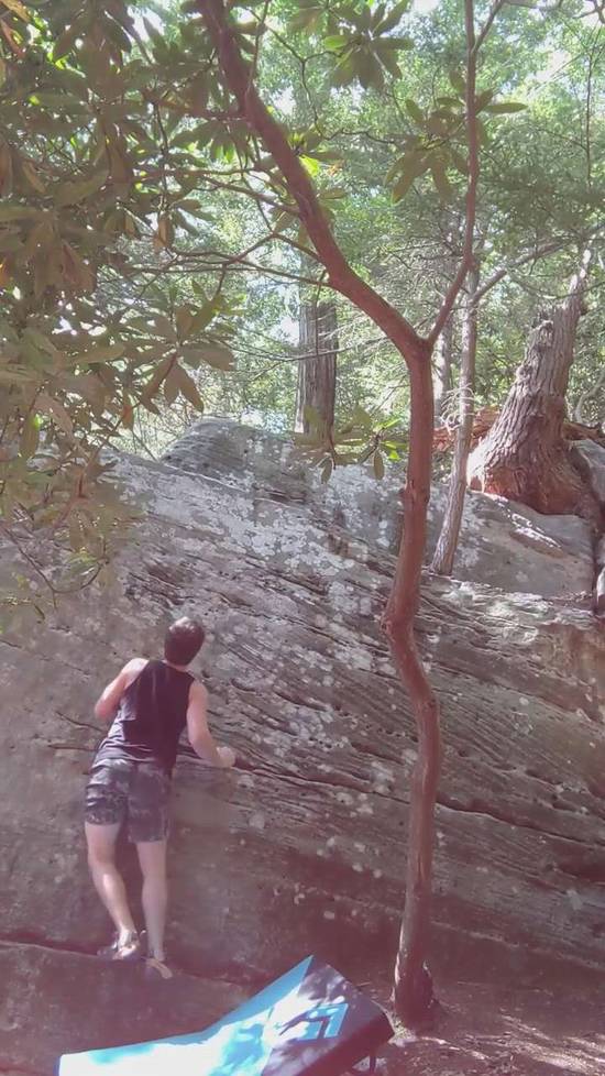 Apples v0, Coopers Rock - Beta Video from CamJaws