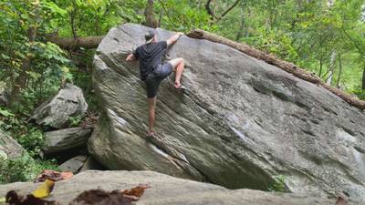Three Little Birds v4, Rumbling Bald - Beta Video from AChuffer