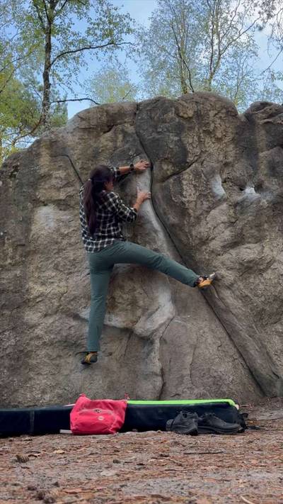 No mojo v5, Fontainebleau - Beta Video from LittleBetaBird