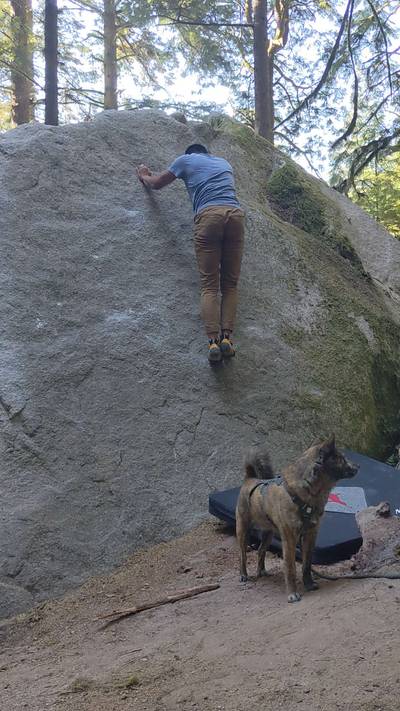 Newsroom v0, Squamish - Beta Video from KingDyno