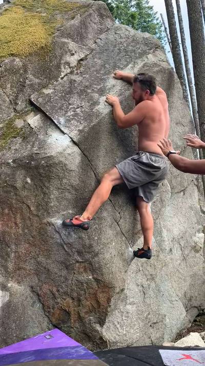 Midnight Lichen v4, Gold Bar - Beta Video from swayne