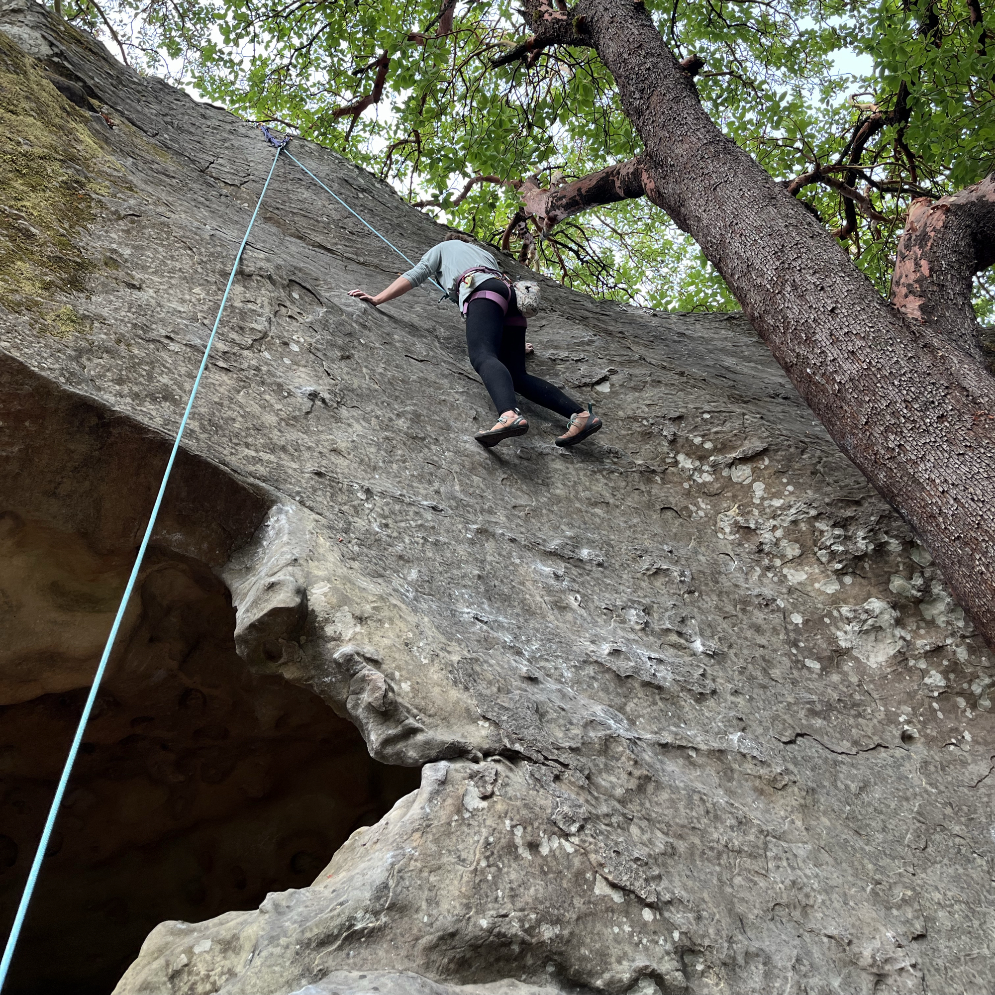 Climbing Beta video of climbers on South Face Left 5.7 in Castle Rock State Park with undefined beta videos in KAYA, the climber's app - where climbers can log and track their ascents, progress, and connect with their local gym and outdoor climbing community.