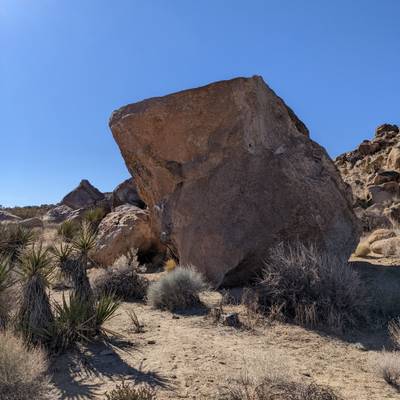 Psyche v4, Joshua Tree - Beta Video from zbuechler