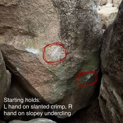 Picante v8, Joshua Tree - Beta Video from Sierradactyl