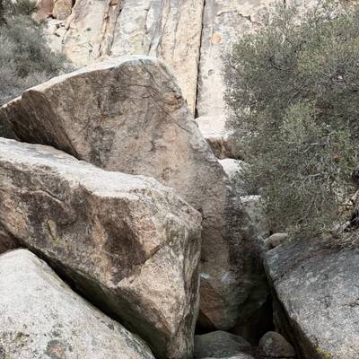 Picante v8, Joshua Tree - Beta Video from Sierradactyl