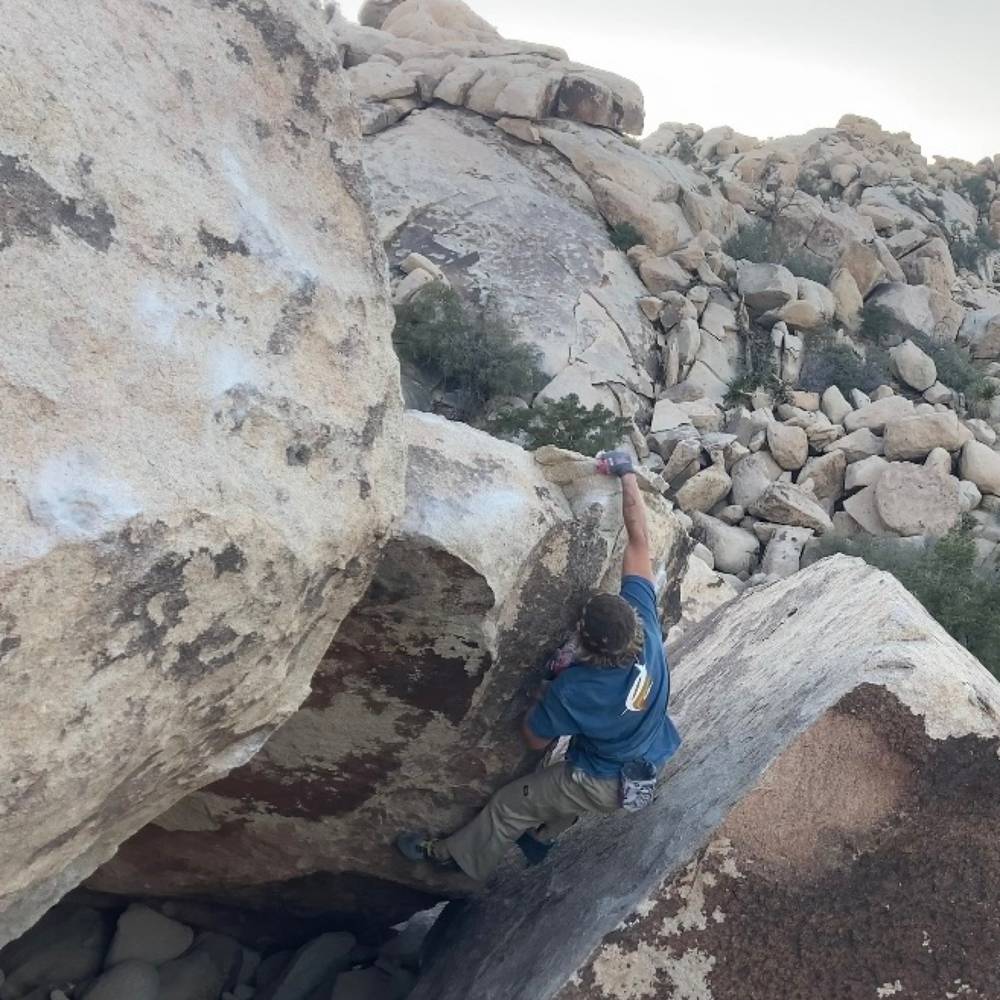 Mystical Powers v7, Joshua Tree - Beta Video from coyoteee