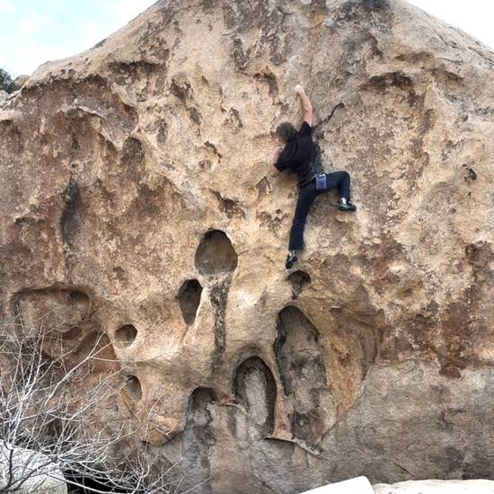 Hole Milk v6, Joshua Tree - Beta Video from pmcguire