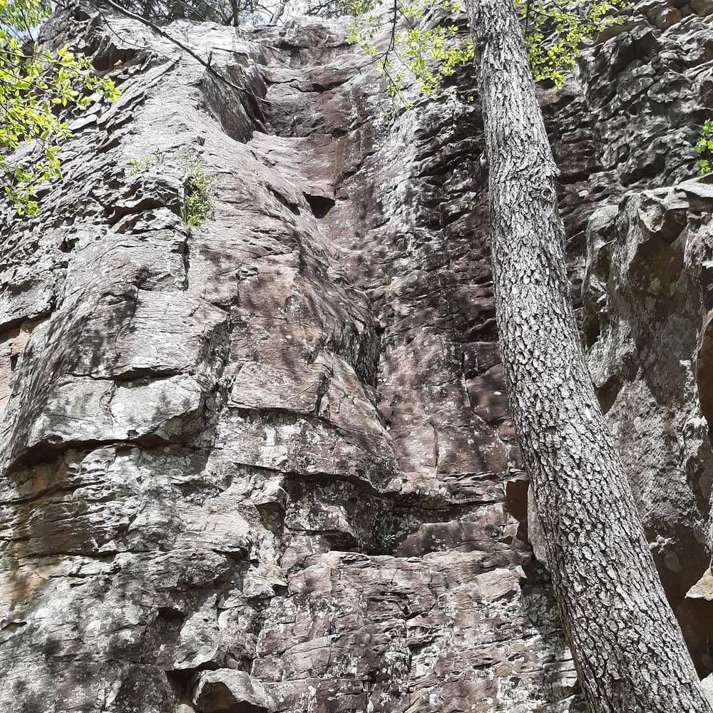 Emma's Got a Mullet 5.6, Horseshoe Canyon Ranch - Beta Video from sunshinetiff