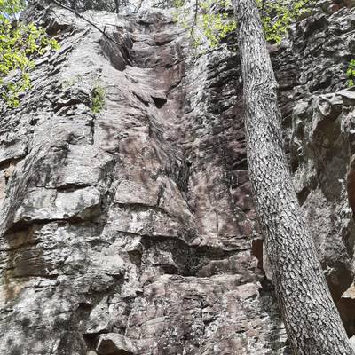 Emma's Got a Mullet 5.6, Horseshoe Canyon Ranch - Beta Video from sunshinetiff