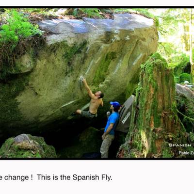 Spanish Fly v8, Index - Beta Video from Tristan