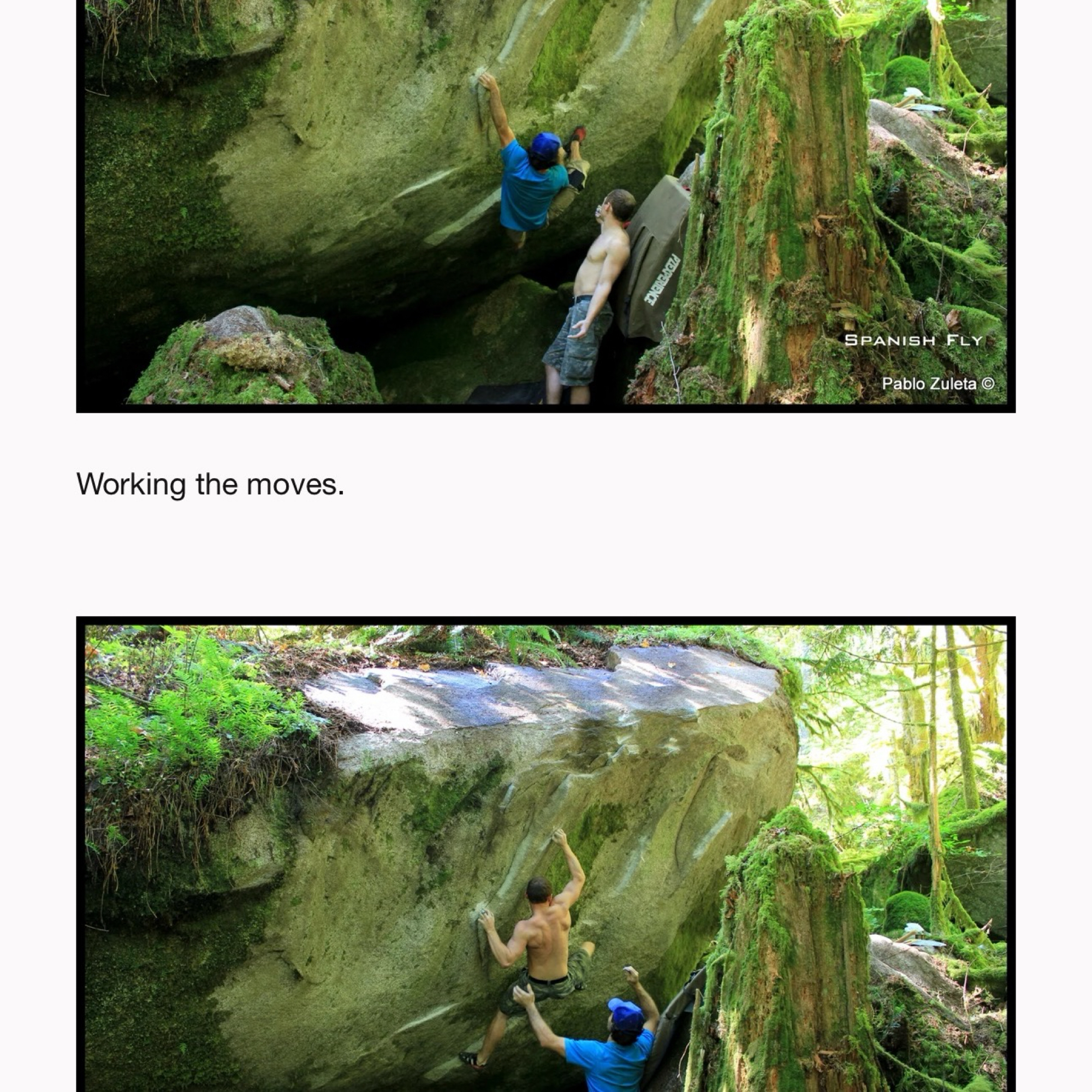 Climbing Beta video of climbers on Spanish Fly v8 in Index with undefined beta videos in KAYA, the climber's app - where climbers can log and track their ascents, progress, and connect with their local gym and outdoor climbing community.