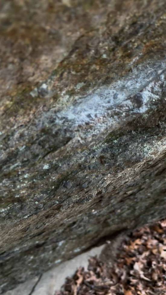 Age of Brainrot v10, Patapsco Valley State Park - Beta Video from Theitmann