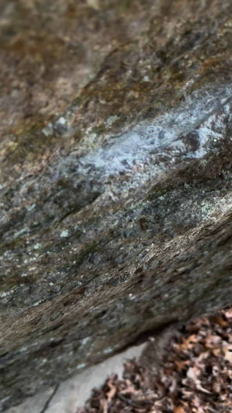 Age of Brainrot v10, Patapsco Valley State Park - Beta Video from Theitmann