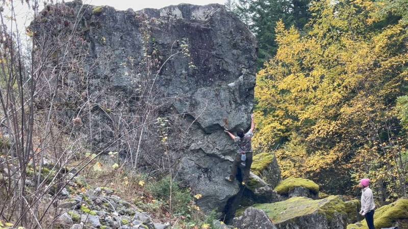 For the Birds v3, Squamish - Beta Video from tige