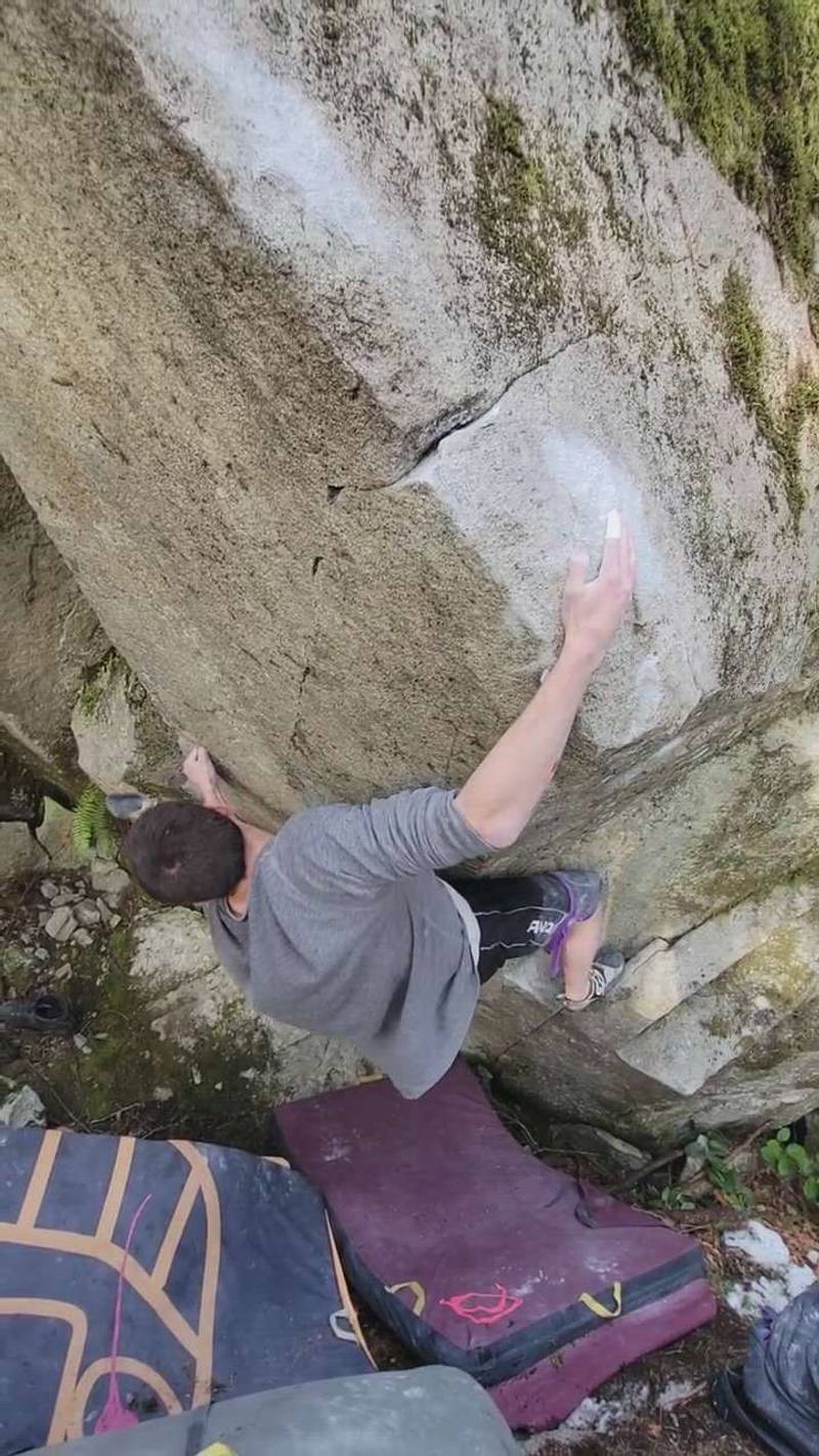 Animal Farm v10, Gold Bar - Beta Video from ZeNaRo