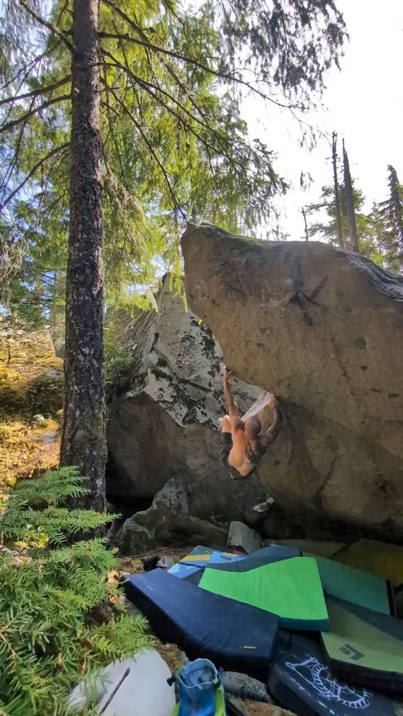 Jaws Left v6, Gold Bar - Beta Video from ThatDiabetic