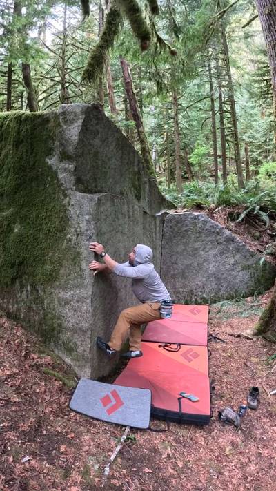Cheek Arete v1, Index - Beta Video from plumbis