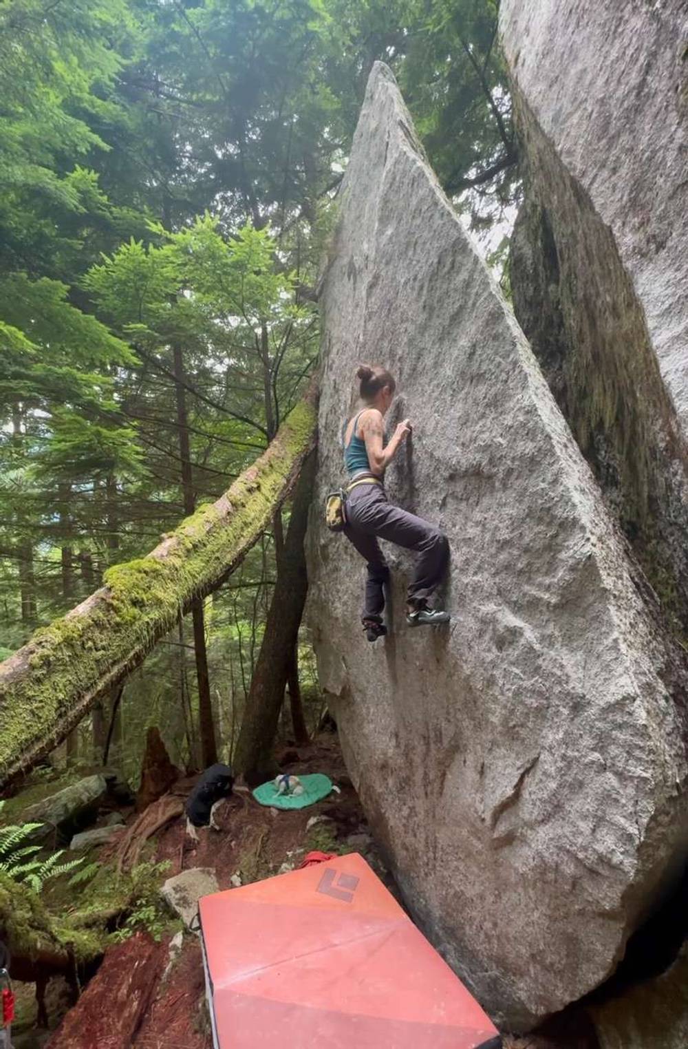 Destroy Boys v6, Squamish - Beta Video from reneegonerogue
