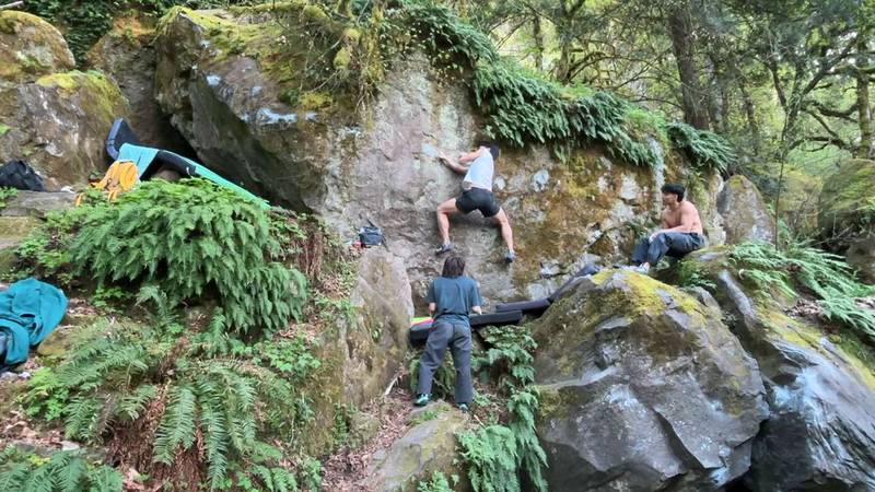 Angry Squirrel v9, Carver - Beta Video from choiboi