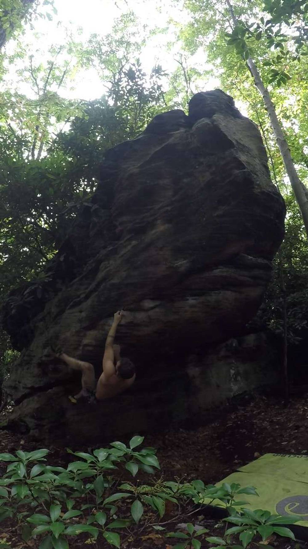 Dead Flowers v4, Coopers Rock - Beta Video from CryceBayton