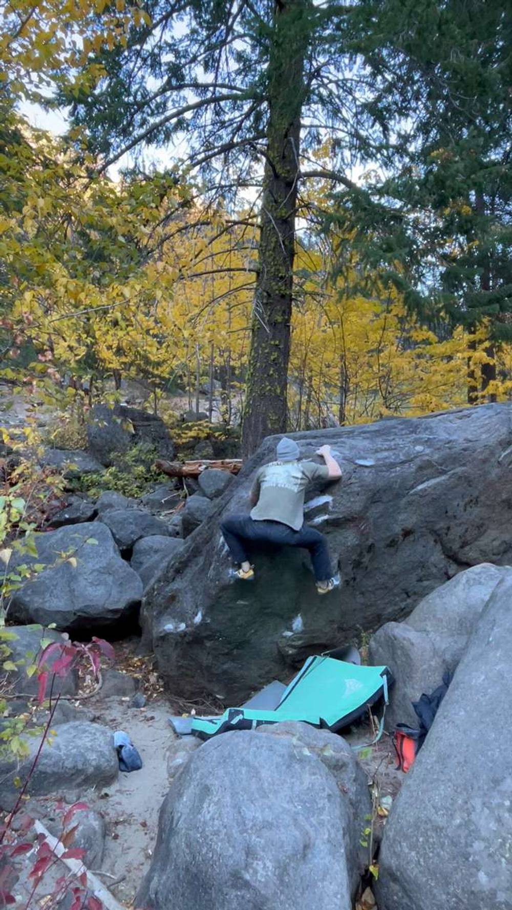 Rootification v4, Leavenworth - Beta Video from stevendimmitt
