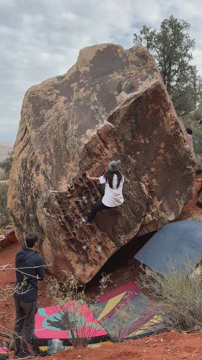 Whale Bacon v0, Red Rock - Beta Video from salamanda