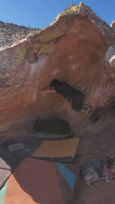Bazooka Tooth v8, Moe's Valley - Beta Video from Kyle_Hanus_