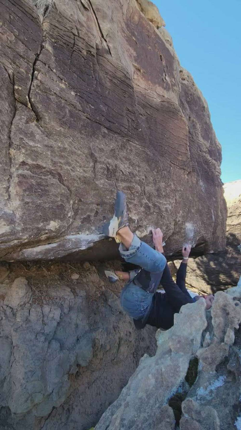 Theropod v8, Triassic - Beta Video from jersteck