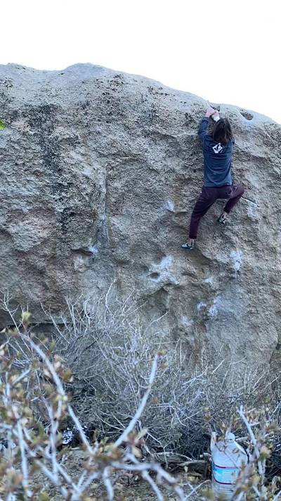 Zen Flute v10, Bishop - Beta Video from Dyno_Guru