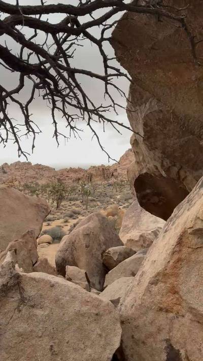 Picante v8, Joshua Tree - Beta Video from Sierradactyl