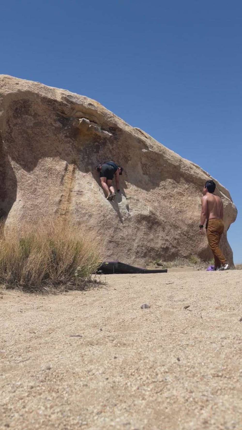 Thingamajig v0, Joshua Tree - Beta Video from Kiht