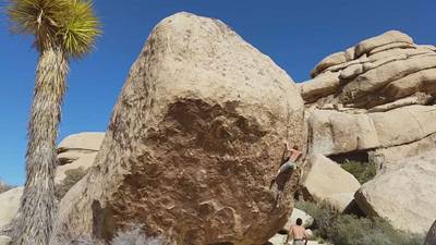 So High v5, Joshua Tree - Beta Video from taters