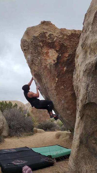 Picture Perfect Sit v5, Joshua Tree - Beta Video from Danarmarg