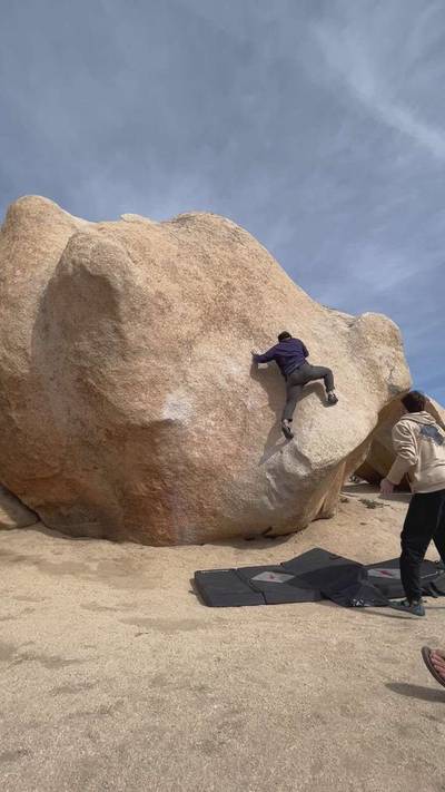 Stem Gem v4, Joshua Tree - Beta Video from cowboyatlantis