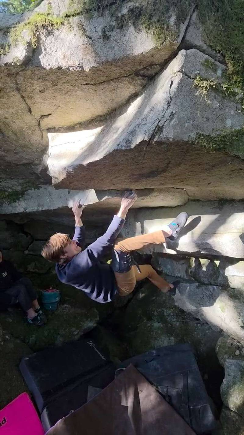 Live Moss v6, Gold Bar - Beta Video from RodgerC