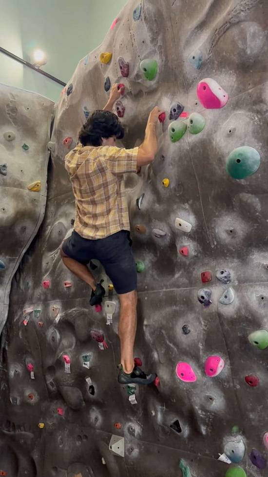 Greater Flamingo, v3, University of California Santa Barbara - Beta Video from alectsun