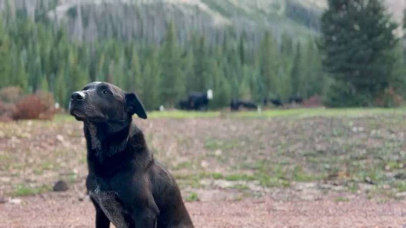 The Work and The Glory v8, Uintas - Beta Video from GabeMcKenzie