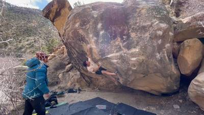 Diamond Mind v8, Joe's Valley - Beta Video from MrTF