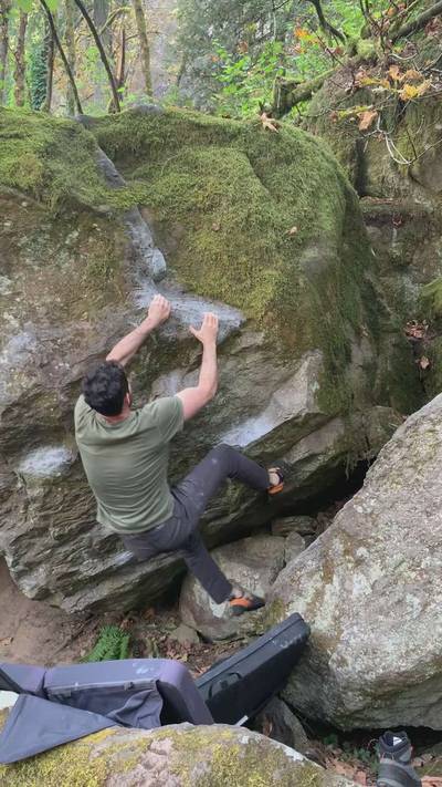 Barfly Betty v3, Carver - Beta Video from Franchise82
