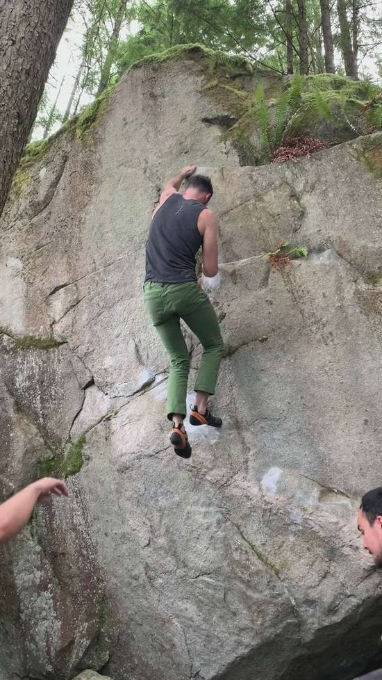 Fern Crack v3, Gold Bar - Beta Video from Franchise82