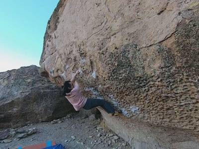 Morning Dove White v7, Bishop - Beta Video from cchangxl