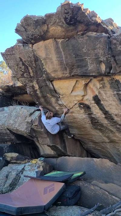 Jaws v10, Roy - Beta Video from Delaymybelay