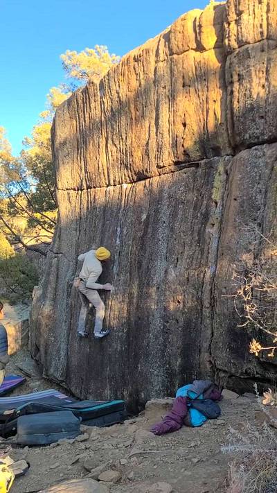 Beautiful Pig v6, Roy - Beta Video from Delaymybelay
